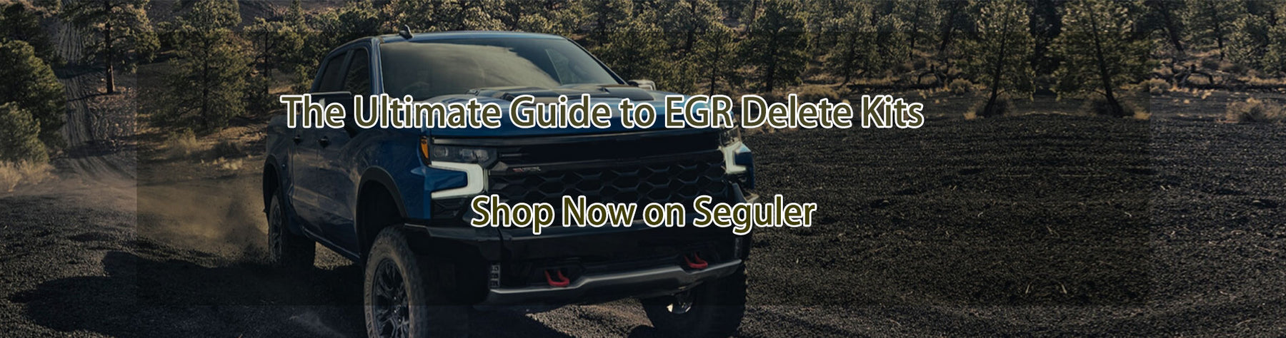 The Ultimate Guide to EGR Delete Kits